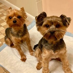 Meet your Posher, Joanne